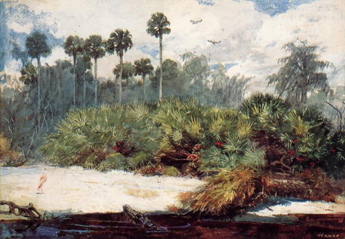 (image for) Handmade oil painting Copy paintings of famous artists Winslow Homers Paintings In a Florida Jungle